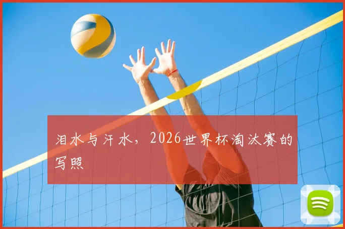 泪水与汗水,2026世界杯淘汰赛的写照
