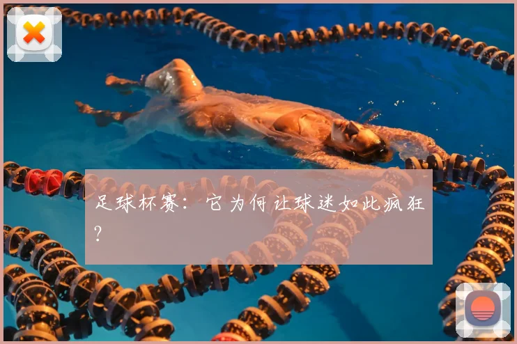 足球杯赛:它为何让球迷如此疯狂?