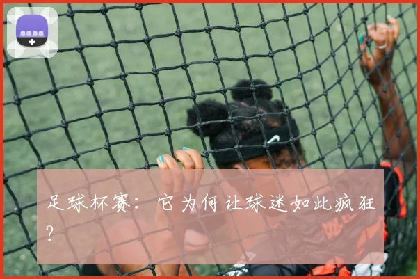 足球杯赛:它为何让球迷如此疯狂?