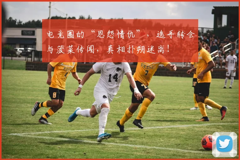 电竞圈的“恩怨情仇”,选手转会与菠菜传闻,真相扑朔迷离!