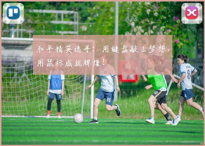 和平精英选手:用键盘敲击梦想,用鼠标成就辉煌!